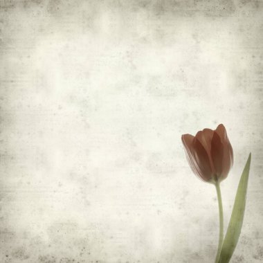 desenli eski kağıt arkaplan  