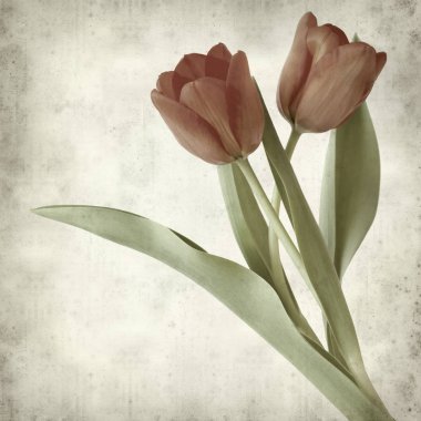 desenli eski kağıt arkaplan  