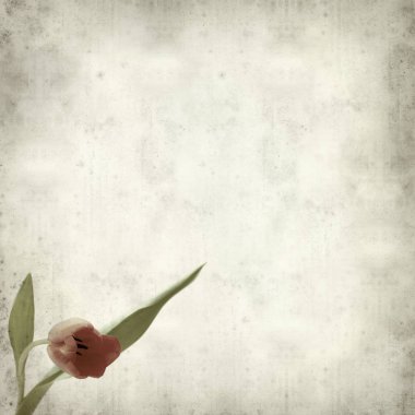 desenli eski kağıt arkaplan  