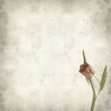 desenli eski kağıt arkaplan  