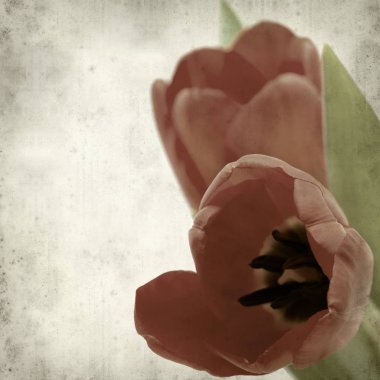 desenli eski kağıt arkaplan  