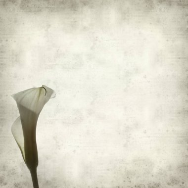 desenli eski kağıt arkaplan  