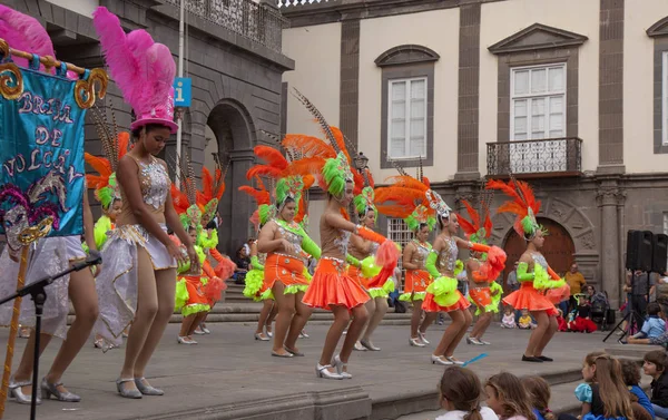 Carnaval de Las Palmas 2017 — Photo