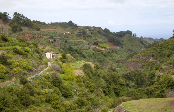 Centrum wyspy Gran Canaria w lutym — Zdjęcie stockowe