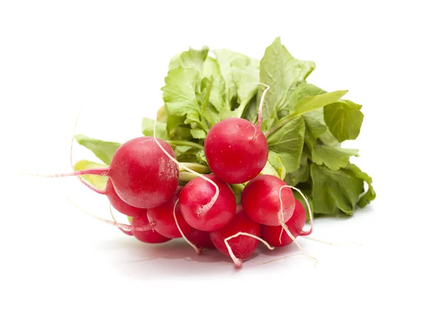 Bunch of radish isolated on white — Stock Photo, Image