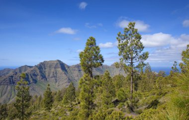 Şubat ayında West Gran Canaria