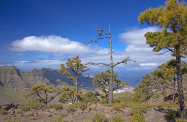 Şubat ayında West Gran Canaria