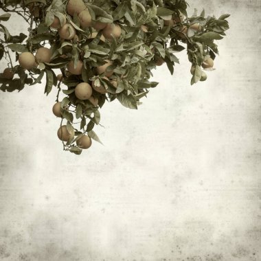 desenli eski kağıt arkaplan  