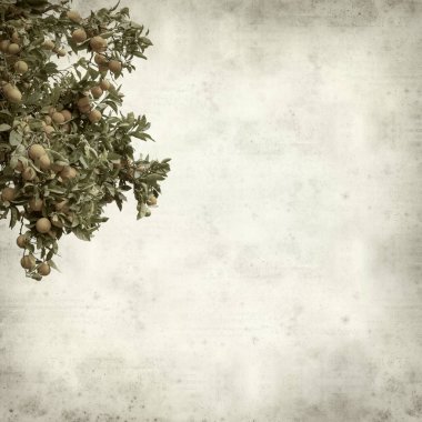 desenli eski kağıt arkaplan  