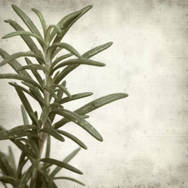 desenli eski kağıt arkaplan  