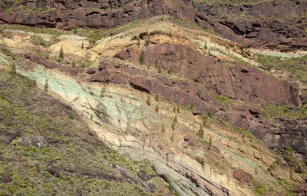 Gran Canaria Ouest en février — Photo