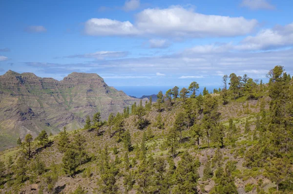 West Gran Canaria em fevereiro — Fotografia de Stock