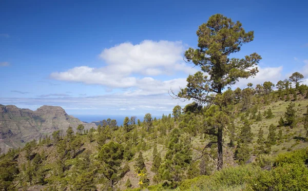 West Gran Canaria em fevereiro — Fotografia de Stock