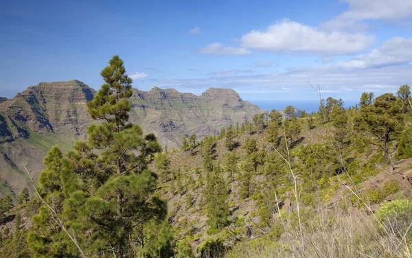 Oeste de Gran Canaria en febrero —  Fotos de Stock