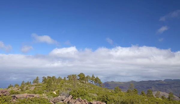 Gran Canaria occidentale a febbraio — Foto Stock