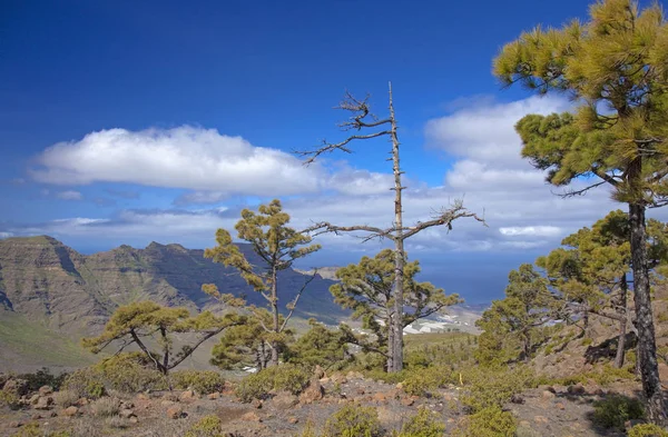 Oeste de Gran Canaria en febrero —  Fotos de Stock