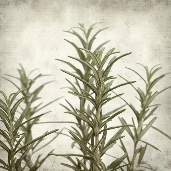 Textured old paper background — Stock Photo, Image