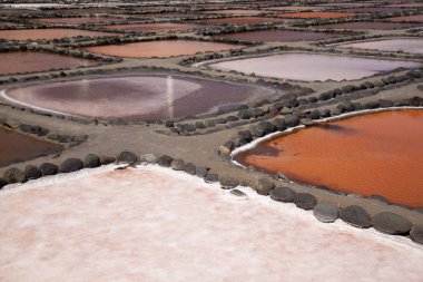 Gran Canaria, Salinas de Tenefe