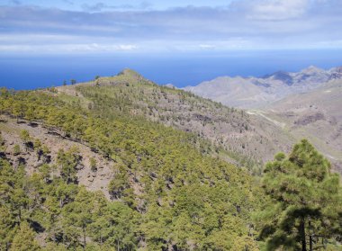 Şubat ayında West Gran Canaria