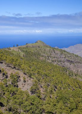 Şubat ayında West Gran Canaria