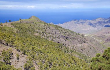 Şubat ayında West Gran Canaria