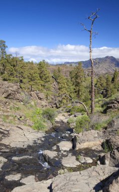 Şubat ayında West Gran Canaria