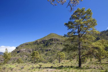 Şubat ayında West Gran Canaria