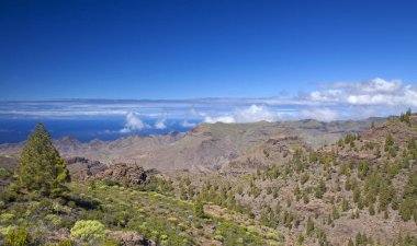 Şubat ayında West Gran Canaria