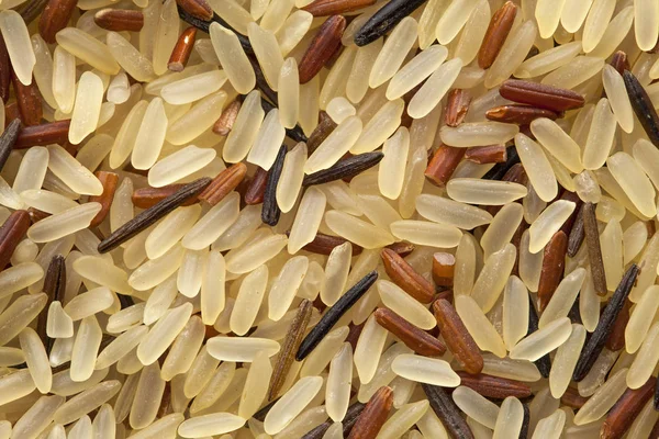 Blandade ris bakgrund — Stockfoto