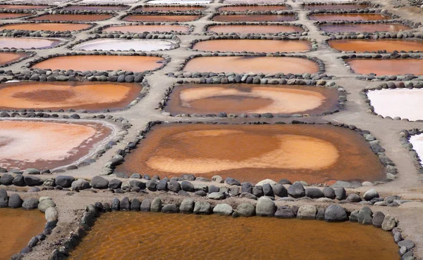 Gran Canaria, Salinas de Tenefe — Foto de Stock