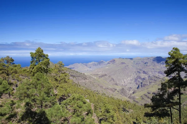 West Gran Canaria in februari — Stockfoto