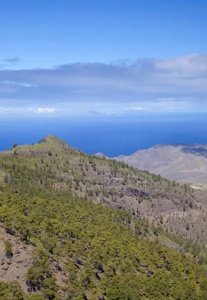 West Gran Canaria in februari — Stockfoto