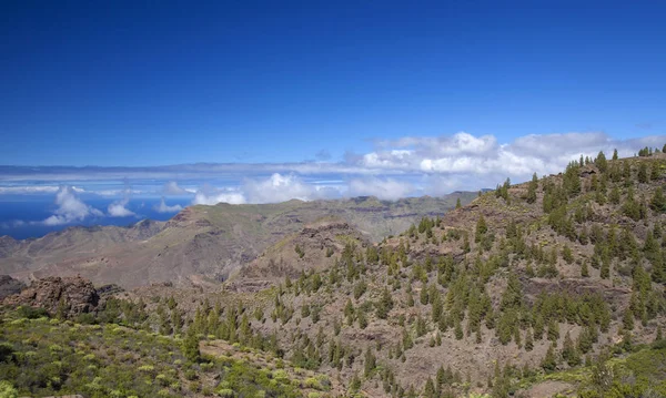 West Gran Canaria w lutym — Zdjęcie stockowe