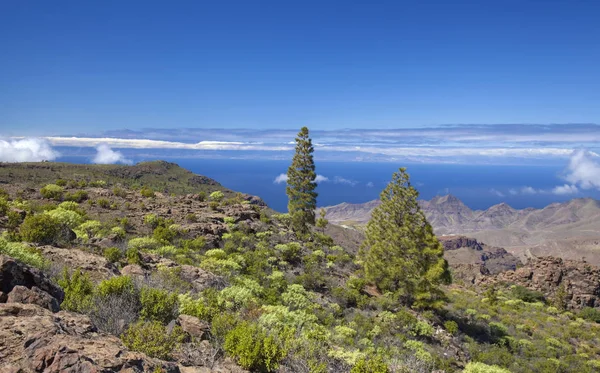 West Gran Canaria in February — Stock Photo, Image