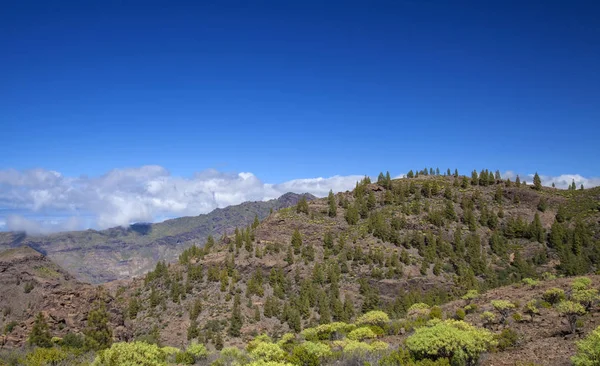 West Gran Canaria in februari — Stockfoto