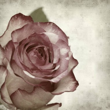 desenli eski kağıt arkaplan  