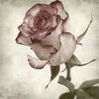 desenli eski kağıt arkaplan  