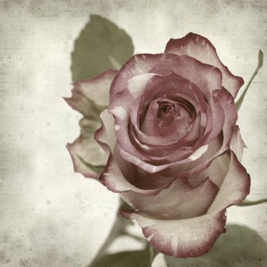 desenli eski kağıt arkaplan  