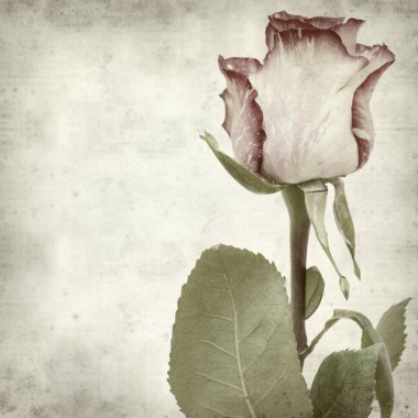 desenli eski kağıt arkaplan  