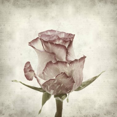 desenli eski kağıt arkaplan  