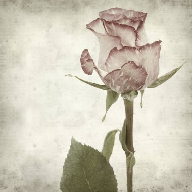 desenli eski kağıt arkaplan  