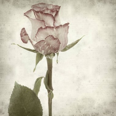 desenli eski kağıt arkaplan  