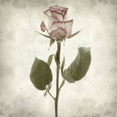 desenli eski kağıt arkaplan  