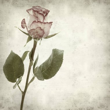 desenli eski kağıt arkaplan  