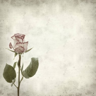 desenli eski kağıt arkaplan  