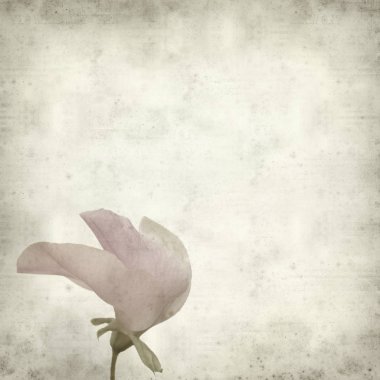 desenli eski kağıt arkaplan  