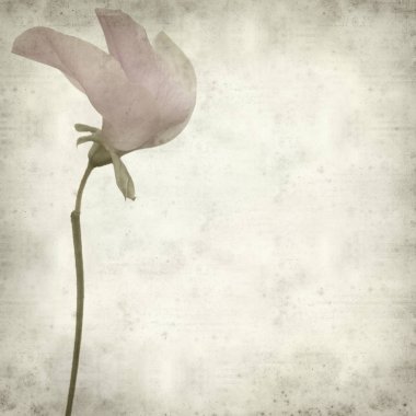 desenli eski kağıt arkaplan  