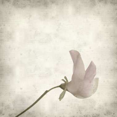 desenli eski kağıt arkaplan  