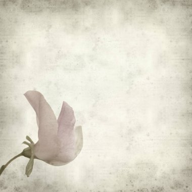 desenli eski kağıt arkaplan  