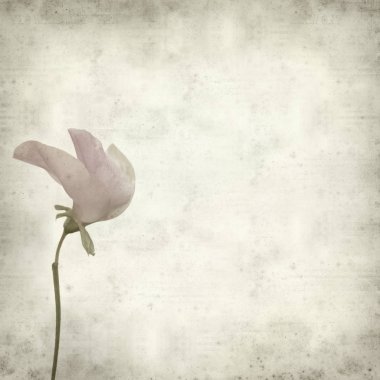 desenli eski kağıt arkaplan  